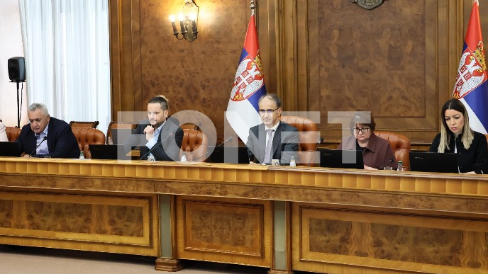 Godina Stefana Lazarevića